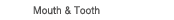 Mouth & Tooth